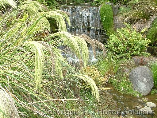 Grass and waterfall 